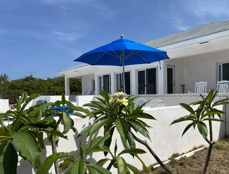 Pool area and terrace