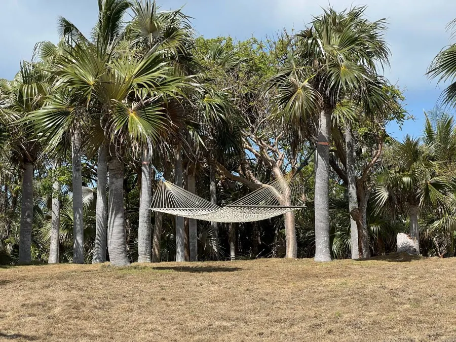 Hammock