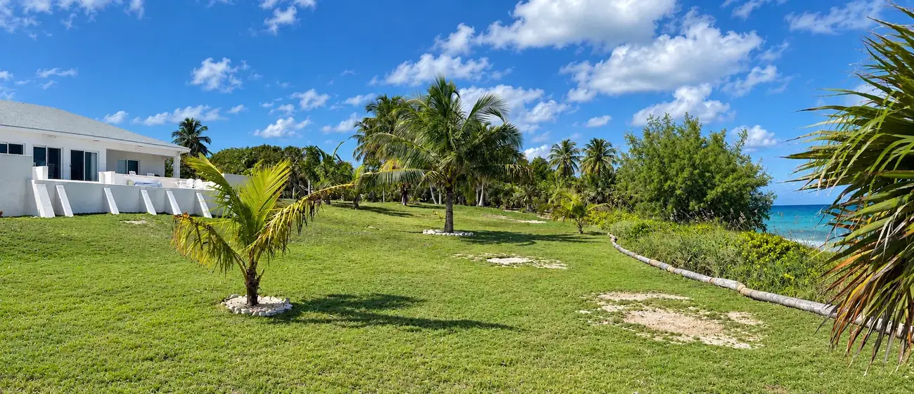 The lawn between the house and the beach, looking from beside the terrace past young palms to the sea