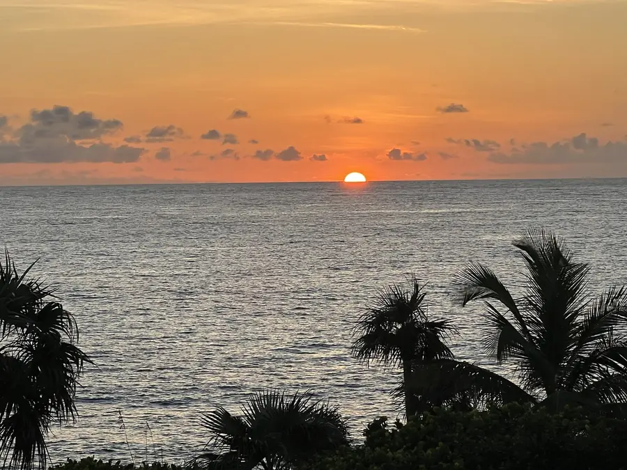The sun sitting on the horizon over a calm ocean, palms silhouetted in the foreground, the sky going from gold to blue