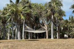 Hammock