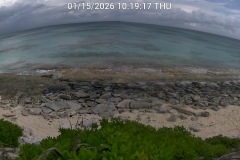 Seaview Villa Beach (Jan. 15, 2026)